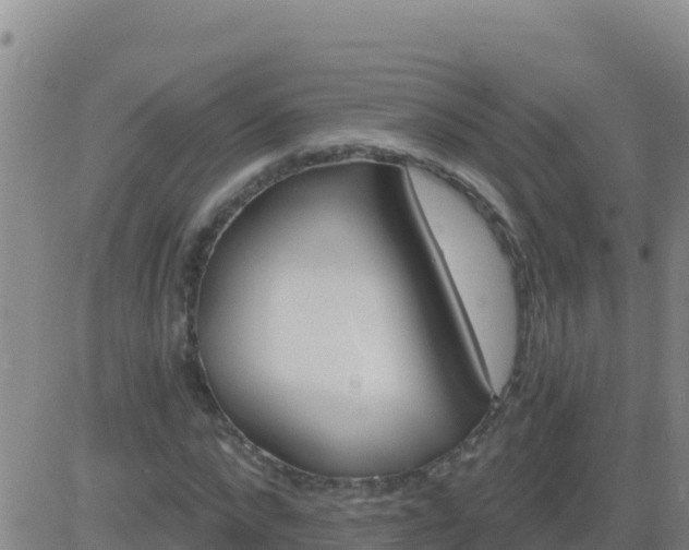 X0000083550872200702162000