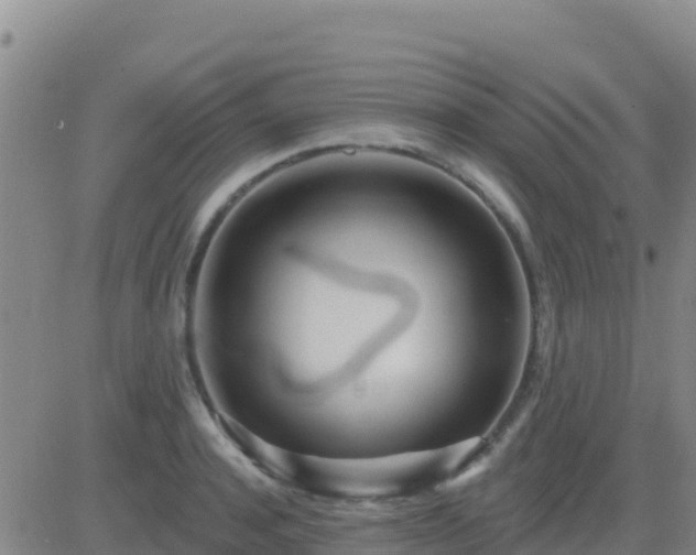 X0000083550944200702161959