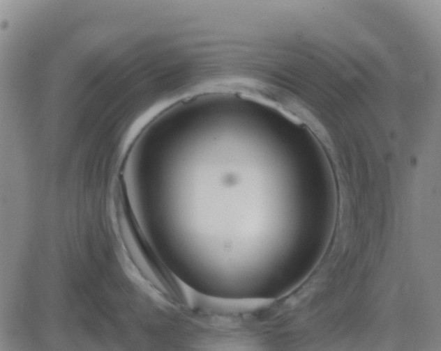 X0000083550960200702161959