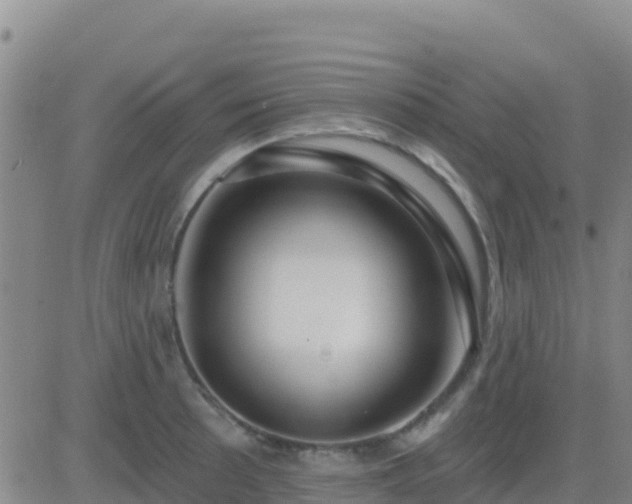 X0000083551089200702161956