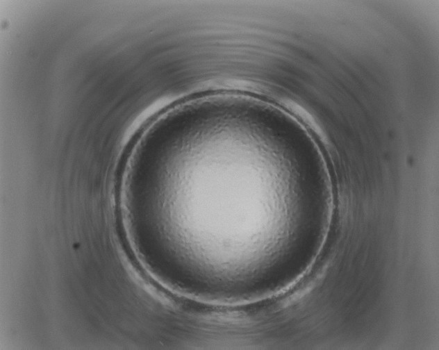 X0000083551133200702161956