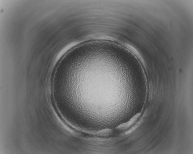 X0000083551141200702161956