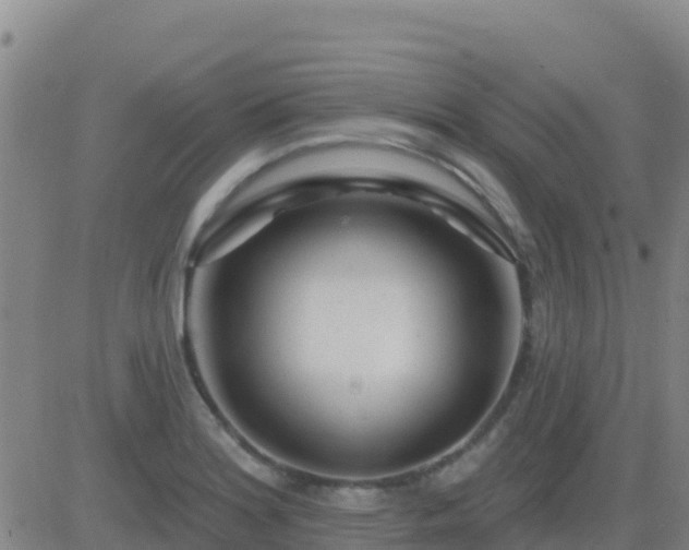 X0000083551180200702161955