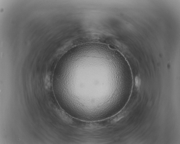 X0000083551203200702161954
