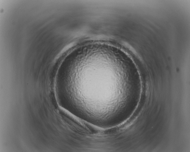 X0000083551213200702161954