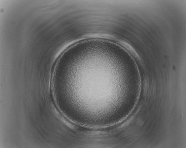 X0000083551228200702161954