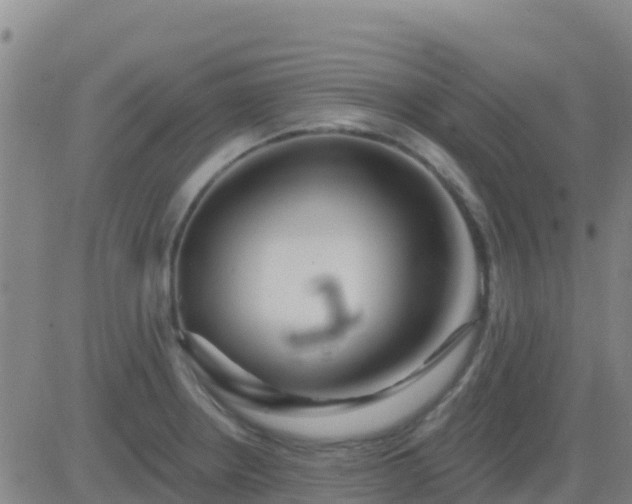 X0000083551234200702161954
