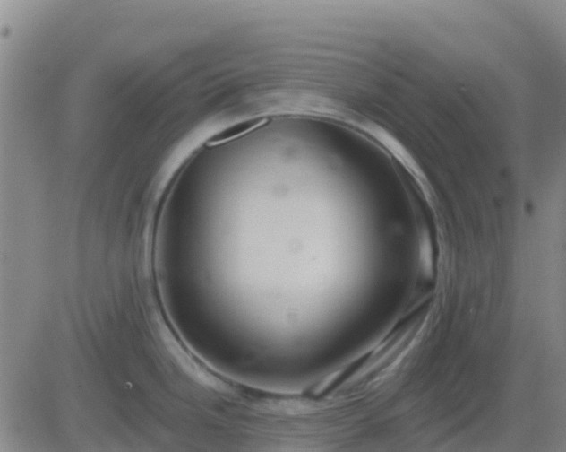 X0000083551246200702161954