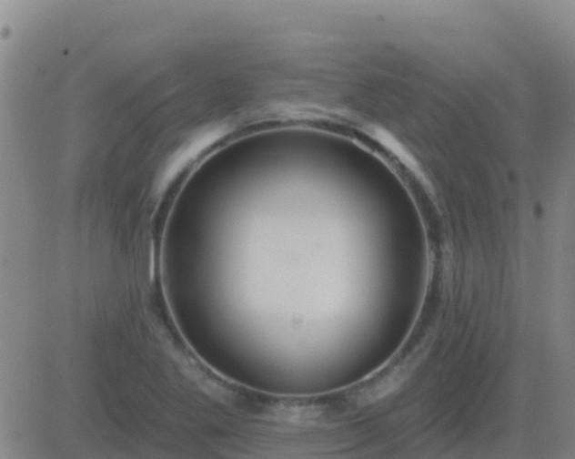 X0000083551269200702161953
