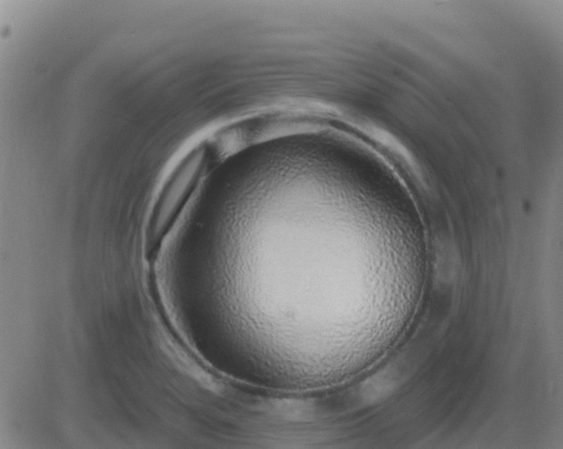 X0000083551280200702161953