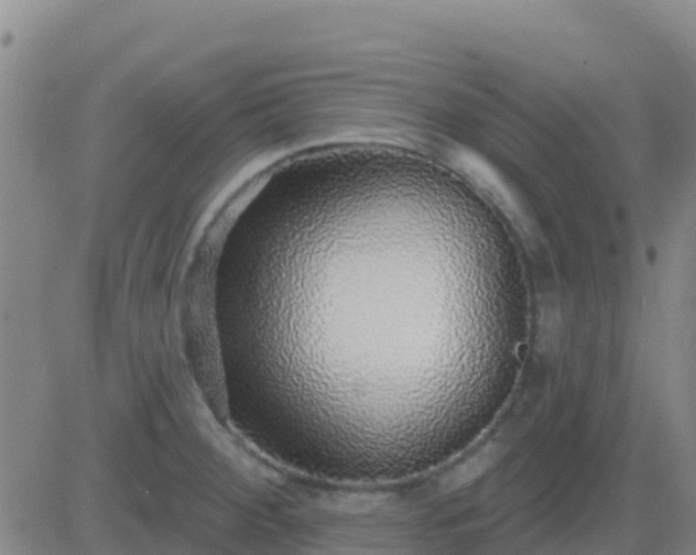 X0000083551284200702161953