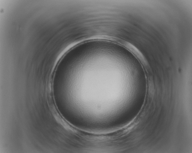X0000083551292200702161953