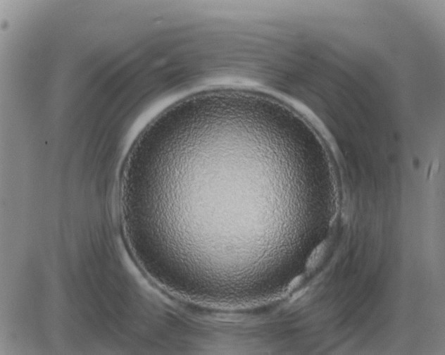 X0000083551295200702161953
