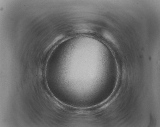 X0000083551305200702161952