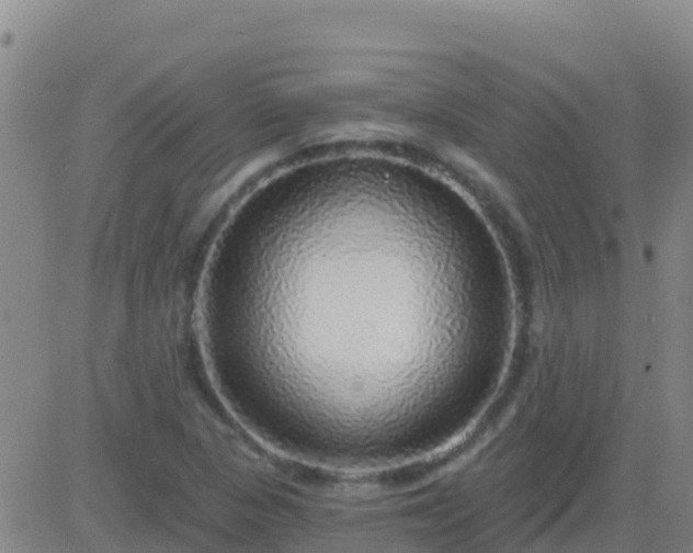 X0000083551313200702161952