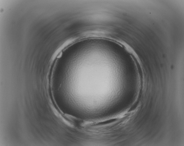 X0000083551341200702161953