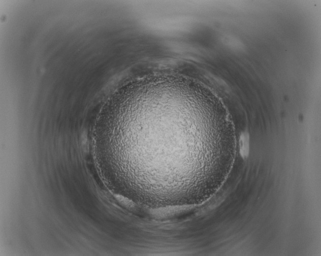 X0000083551395200702161951