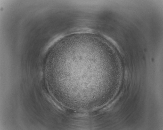 X0000083551407200702161951