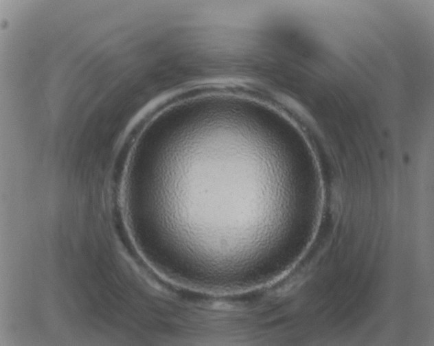X0000083551412200702161951