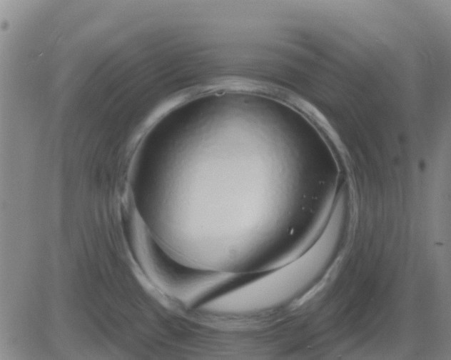 X0000083551433200702161951