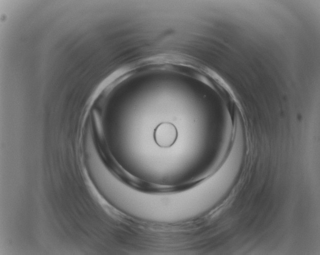 X0000083551434200702161951