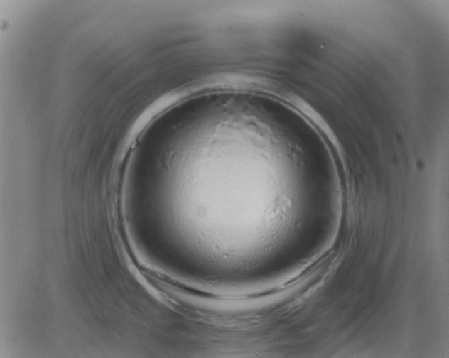 X0000083551437200702161951