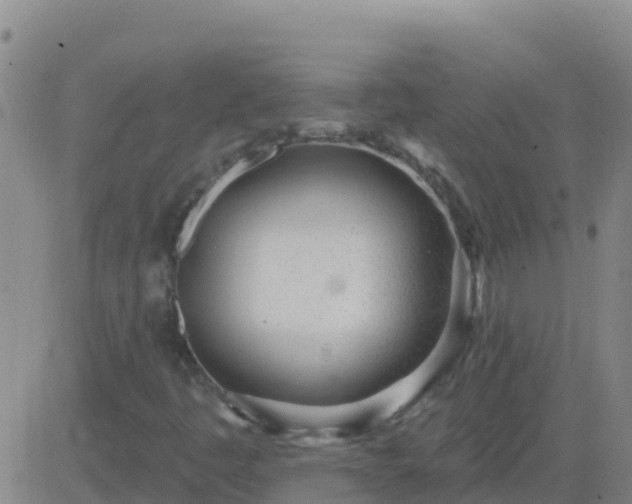 X0000083551445200702161951