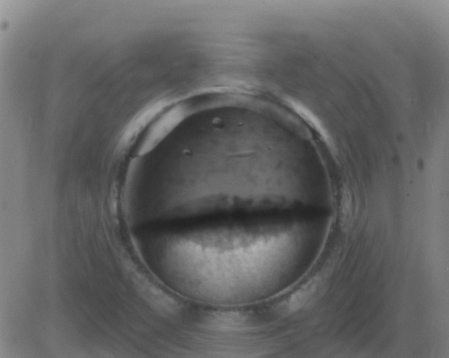 X0000083551455200702161950