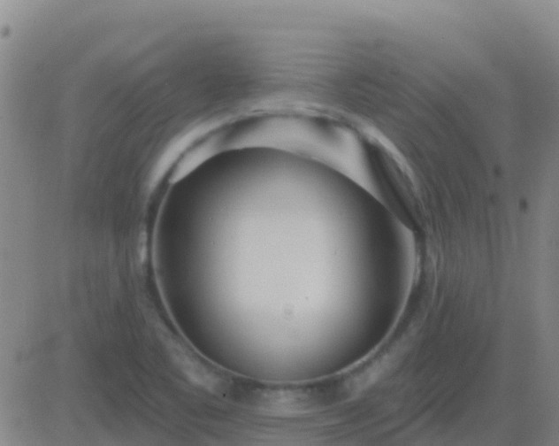 X0000083551461200702161950