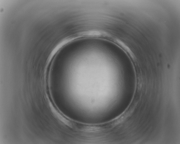 X0000083551475200702161950