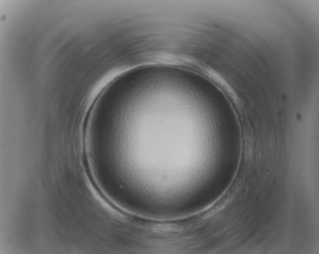 X0000083551479200702161950