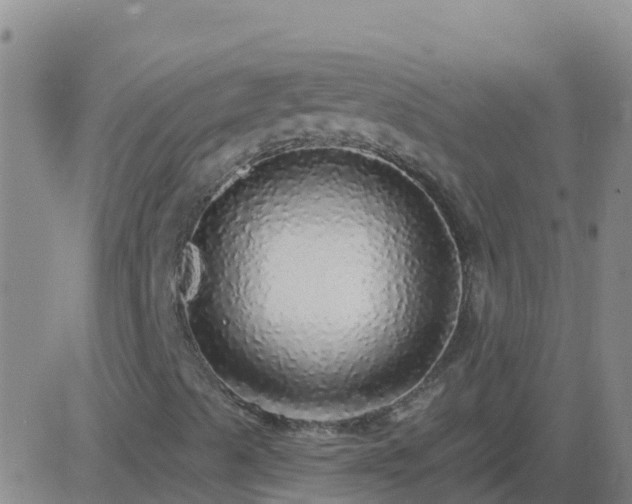 X0000083551489200702161949