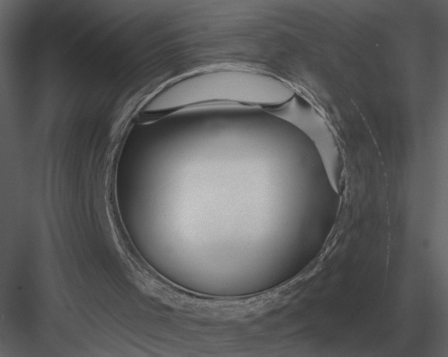 X0000083550001200702240123
