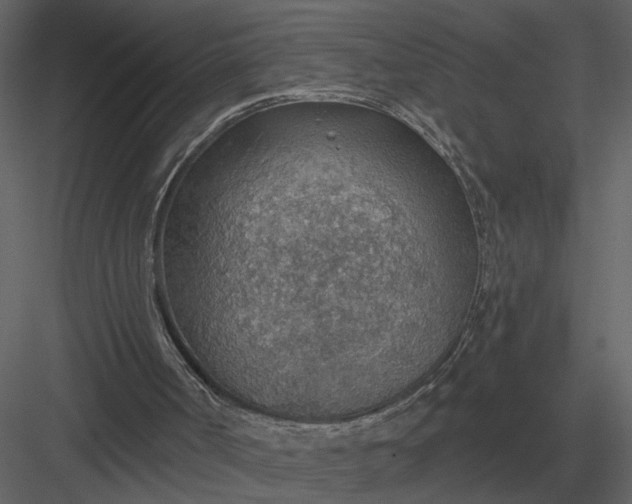 X0000083550002200702240123