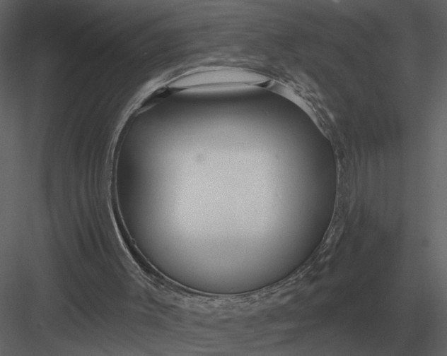 X0000083550003200702240123
