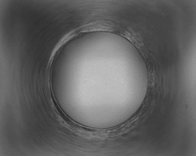 X0000083550004200702240123