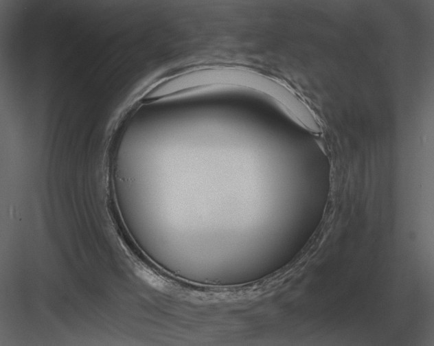 X0000083550005200702240123