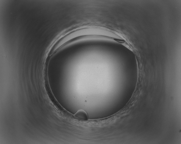 X0000083550007200702240123