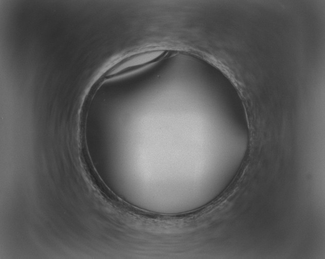 X0000083550008200702240123