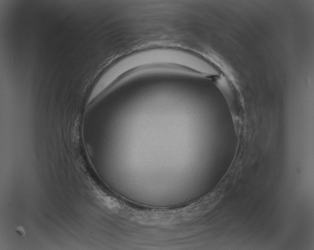 X0000083550009200702240123