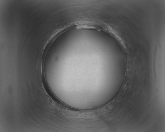 X0000083550011200702240123