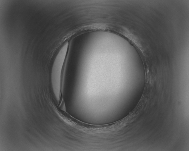 X0000083550013200702240123