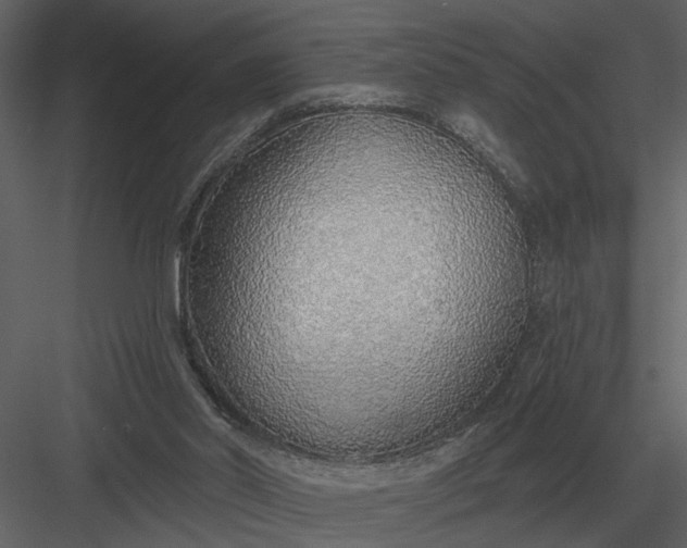 X0000083550014200702240123