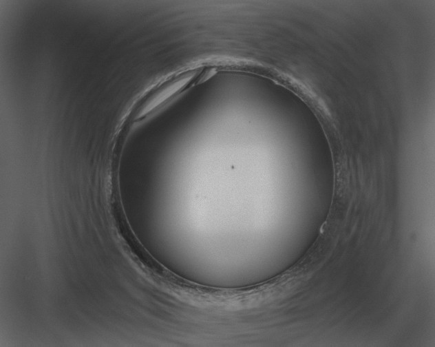 X0000083550015200702240123