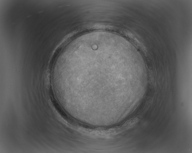 X0000083550016200702240123