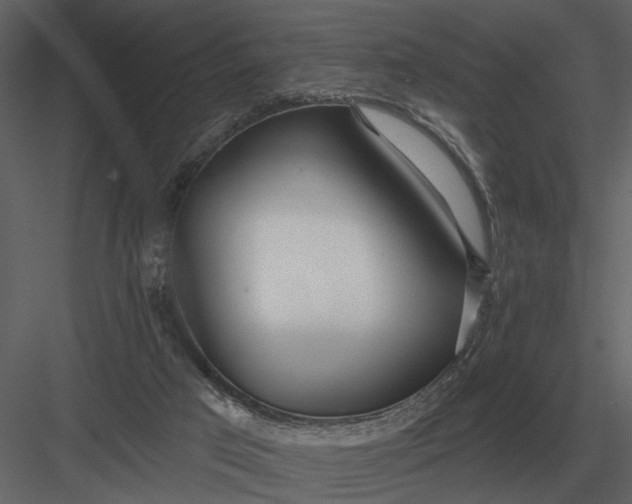 X0000083550017200702240123