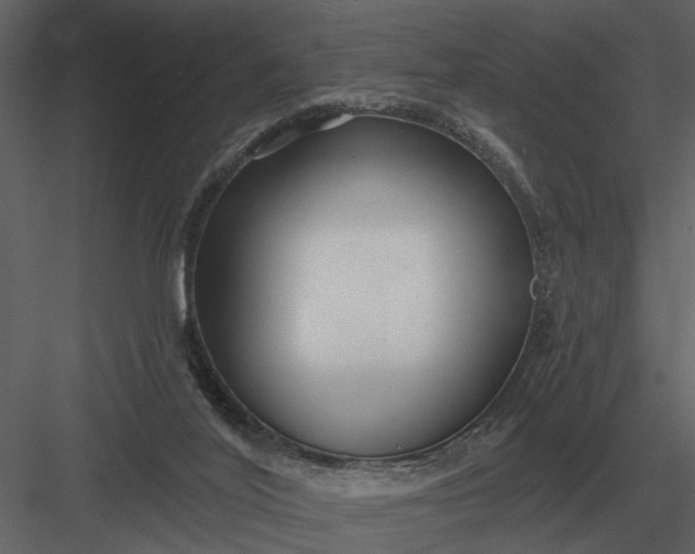 X0000083550020200702240123