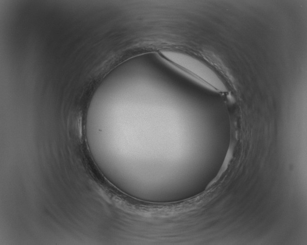 X0000083550021200702240123