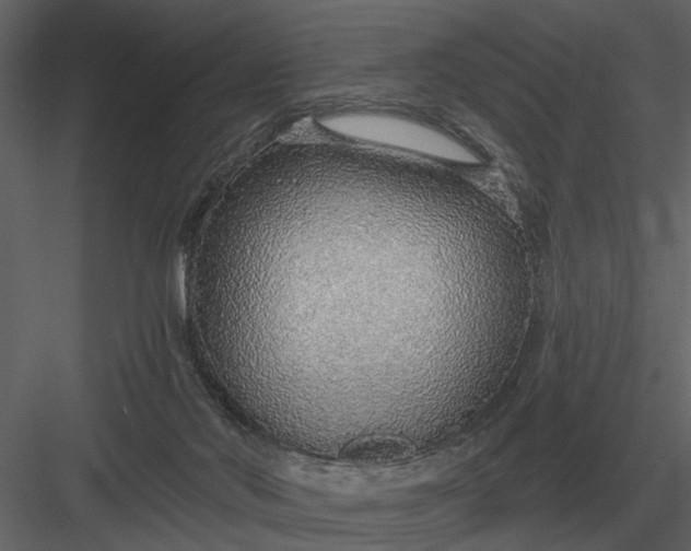 X0000083550022200702240123