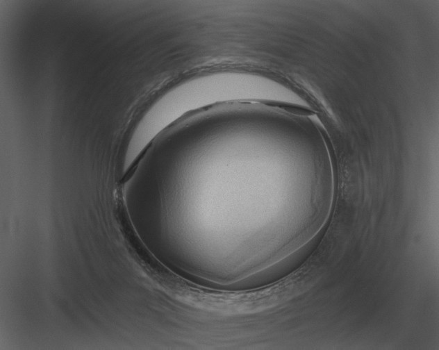 X0000083550023200702240123